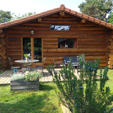 Pialous:Chalet En Rondins Avec Espace Detente La Chapelle-d'Aurec Екстериор снимка