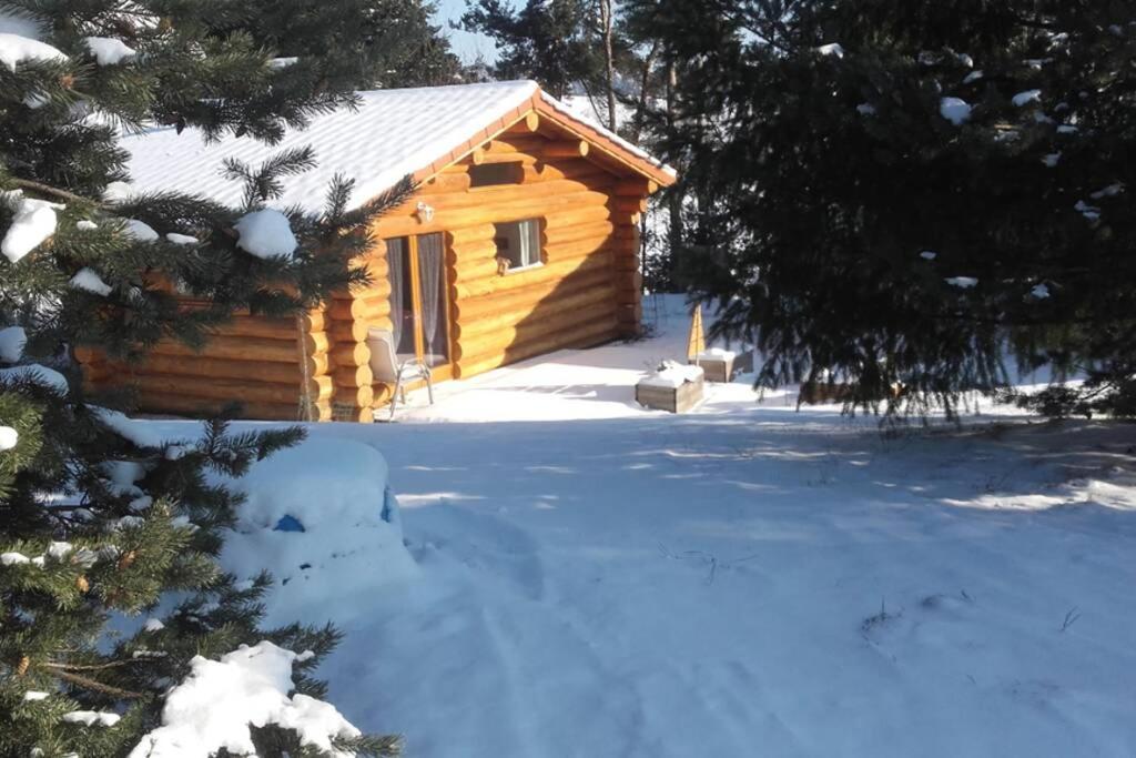 Pialous:Chalet En Rondins Avec Espace Detente La Chapelle-d'Aurec Екстериор снимка